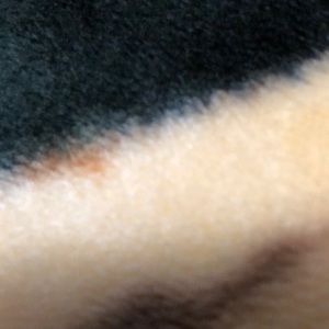 Meet your Posher, Diego